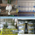 cheap rabbit cages(factory)3 or 4 layers